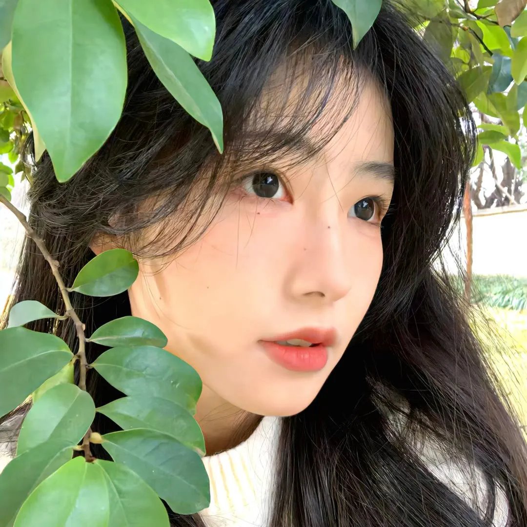 最大的漫游者